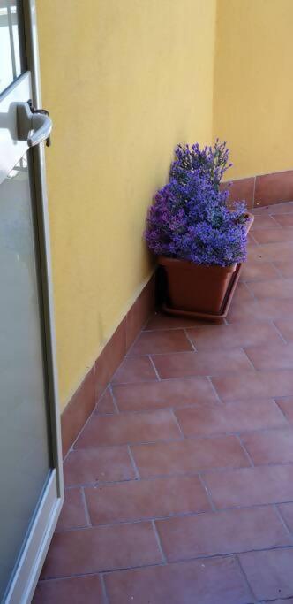 Borgo San Giorgio Apartment Castelmola Exteriér fotografie